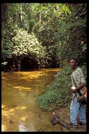 Click to see HQ-Picture...