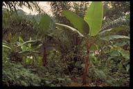 Click to see HQ-Picture...