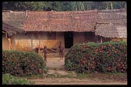 Click to see HQ-Picture...