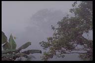 Click to see HQ-Picture...