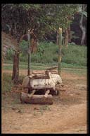 Click to see HQ-Picture...