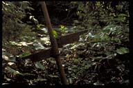 Click to see HQ-Picture...